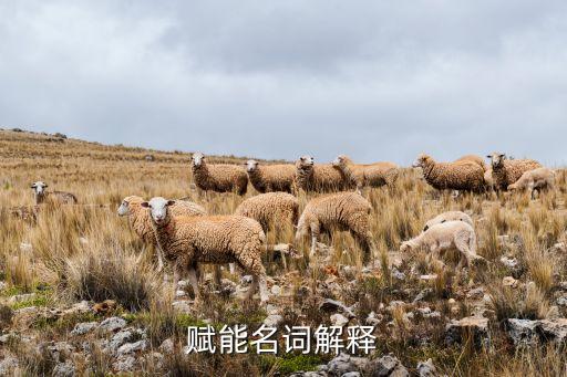 賦能名詞解釋