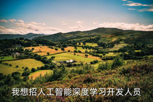 我想招人工智能深度學(xué)習(xí)開發(fā)人員