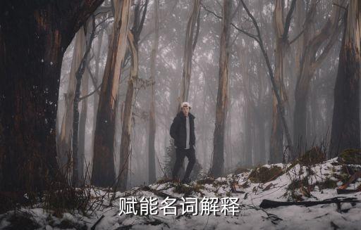 賦能名詞解釋