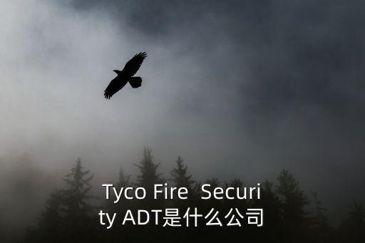 工控安全公司，電力領(lǐng)域有沒(méi)有做的比較好的工控安全廠商
