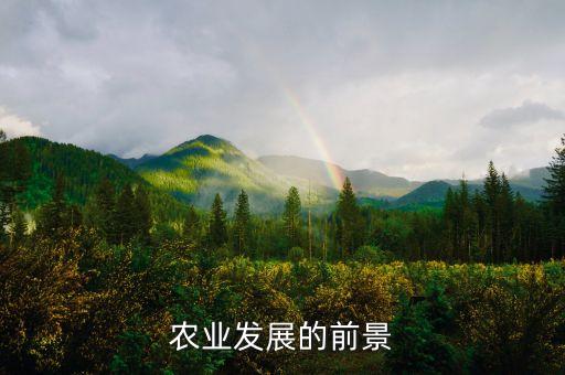 農(nóng)業(yè)發(fā)展的前景