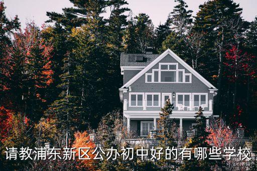 浦東未來(lái)科技學(xué)校初中怎么樣，上海浦東新區(qū)重點(diǎn)初中排名怎么樣小學(xué)排名上南路附近