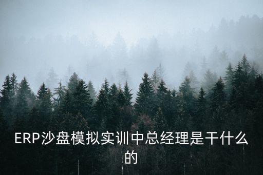 ERP沙盤模擬實訓(xùn)中總經(jīng)理是干什么的