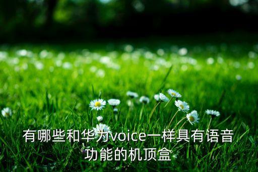 智能語音機頂盒，有哪些和華為voice一樣具有語音功能的機頂盒
