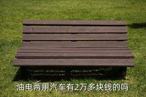 油電兩用汽車有2萬多塊錢的嗎
