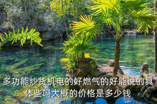 多功能炒貨機(jī)電的好燃?xì)獾暮媚苷f的具體些嗎大概的價格是多少錢
