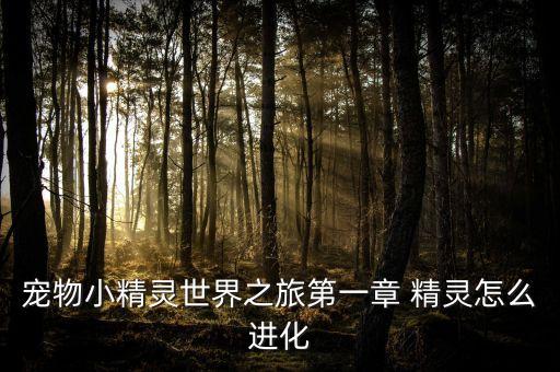 寵物小精靈世界之旅第一章 精靈怎么進化