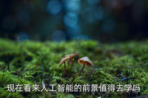 中國人工智能小鎮(zhèn)參觀，東莞大嶺山是準(zhǔn)備做個天安人工智能小鎮(zhèn)嗎謝謝謝謝