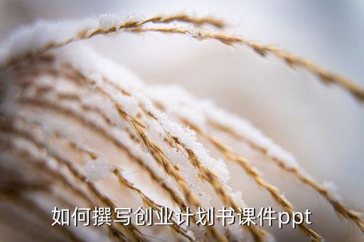 如何撰寫創(chuàng)業(yè)計劃書課件ppt