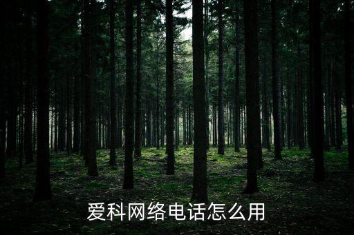愛科網(wǎng)絡(luò)電話怎么用