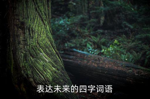 表達(dá)未來的四字詞語
