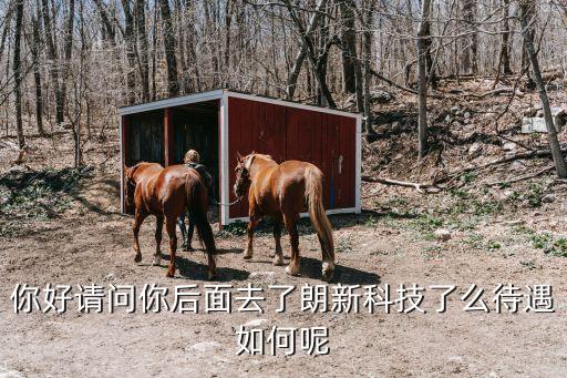 你好請問你后面去了朗新科技了么待遇如何呢