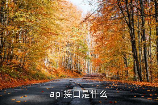 api接口是什么