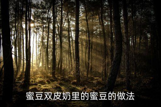 自制簡易過篩網(wǎng)，跪求雙皮奶制作的簡易配方