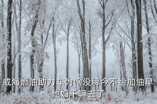 人民日報批評小米造車，天大的事過了今天明天又是一個新的開始不要灰心繼續(xù)努力創(chuàng)造更