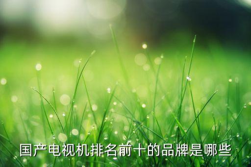 十大電視機(jī)品牌排行榜，國內(nèi)十大電視品牌排行榜是哪些