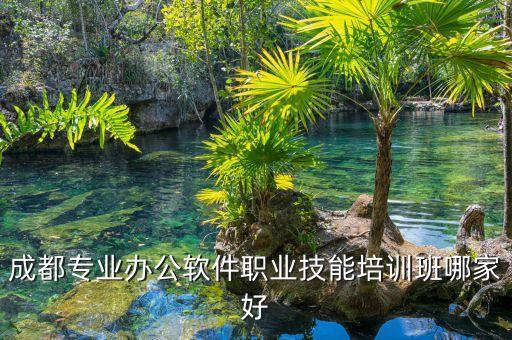 成都專業(yè)辦公軟件職業(yè)技能培訓(xùn)班哪家好