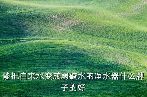 能把自來水變成弱堿水的凈水器什么牌子的好