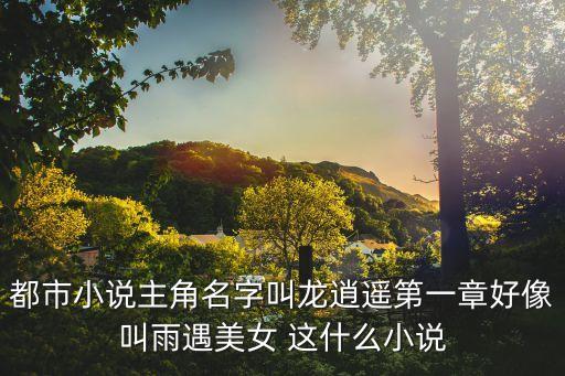 都市小說(shuō)主角名字叫龍逍遙第一章好像叫雨遇美女 這什么小說(shuō)