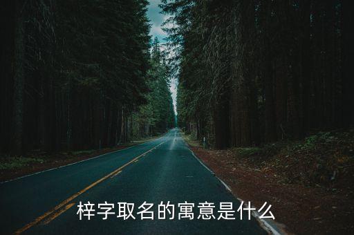 梓字取名的寓意是什么
