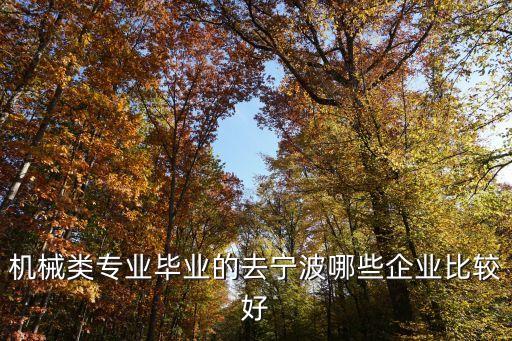 機械類專業(yè)畢業(yè)的去寧波哪些企業(yè)比較好