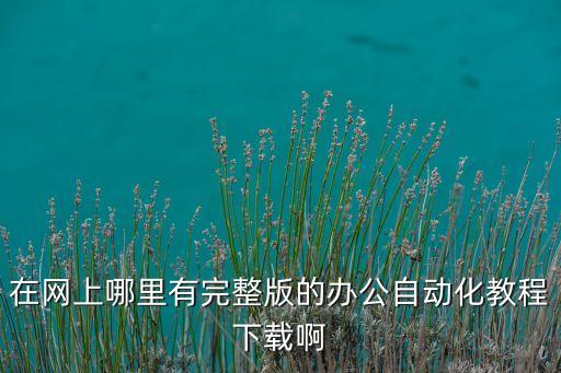 在網(wǎng)上哪里有完整版的辦公自動化教程下載啊