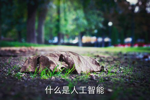 什么是人工智能