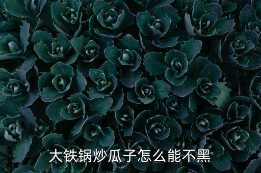 大鐵鍋炒瓜子怎么能不黑
