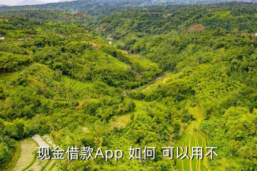 現(xiàn)金借款A(yù)pp 如何 可以用不