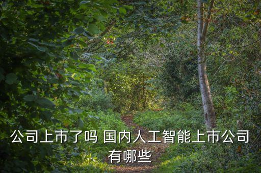 智能ai上市公司排名，人工智能龍頭股有哪些