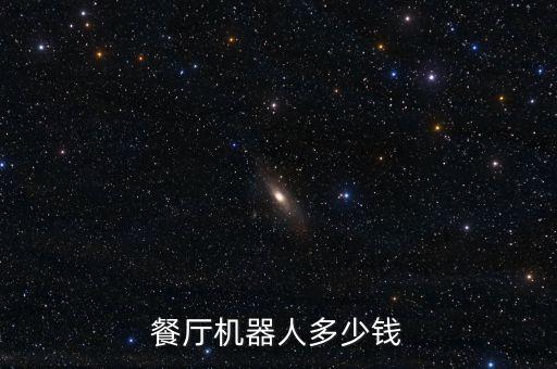 餐廳機(jī)器人多少錢