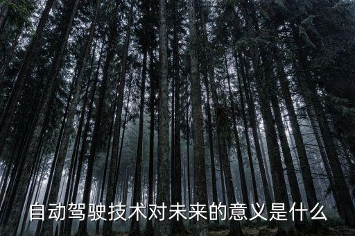 自動(dòng)駕駛技術(shù)對(duì)未來的意義是什么