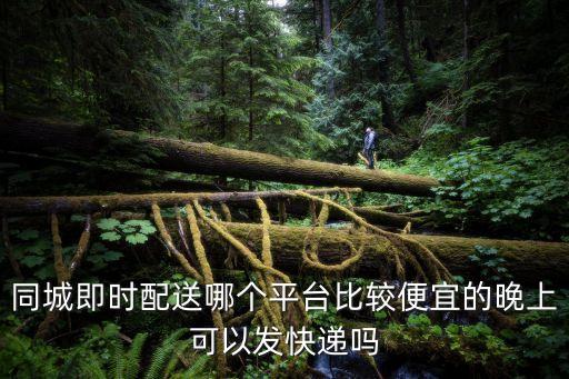 同城即時配送哪個平臺比較便宜的晚上可以發(fā)快遞嗎