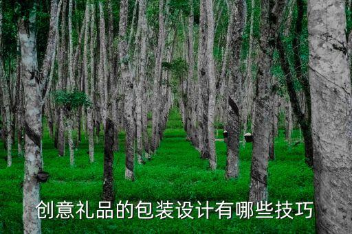創(chuàng)意禮品的包裝設(shè)計(jì)有哪些技巧