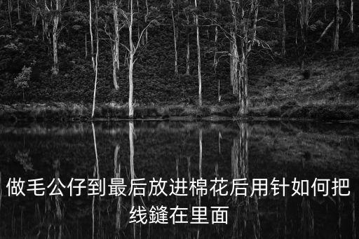 做毛公仔到最后放進(jìn)棉花后用針如何把線鏠在里面