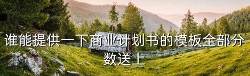 誰(shuí)能提供一下商業(yè)計(jì)劃書(shū)的模板全部分?jǐn)?shù)送上