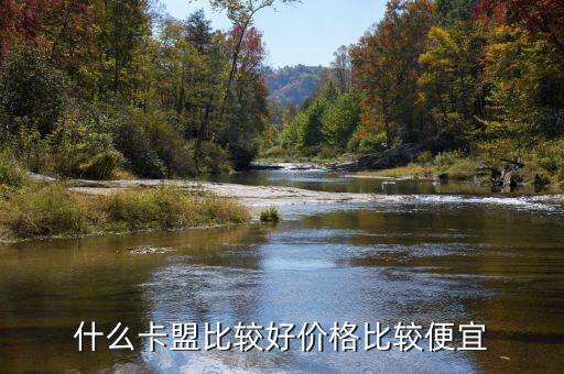 卡盟全網(wǎng)最低價(jià)穩(wěn)定卡盟王牌戰(zhàn)爭(zhēng)，求卡盟推薦啊便宜的穩(wěn)定的