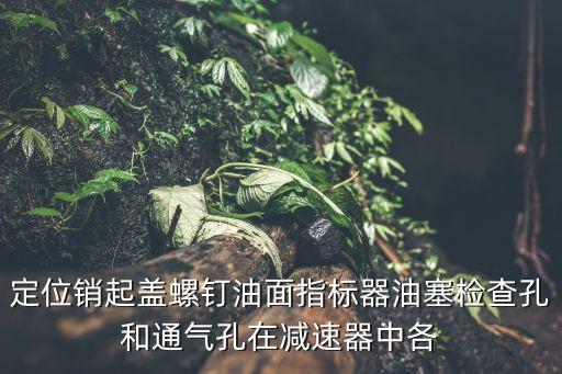 減速器定位銷的作用，定位銷起蓋螺釘油面指標(biāo)器油塞檢查孔和通氣孔在減速器中各