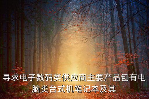 尋求電子數(shù)碼類供應商主要產品包有電腦類臺式機筆記本及其