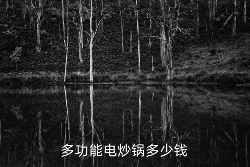 多功能電炒鍋多少錢(qián)