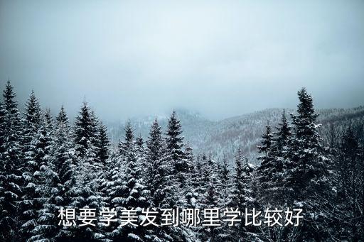 想要學美發(fā)到哪里學比較好