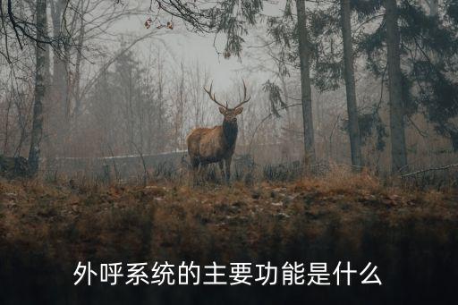 外呼系統(tǒng)，ICD語音外呼系統(tǒng)是什么