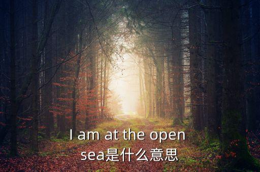 opensea中文叫什么，sea中文是什么意思