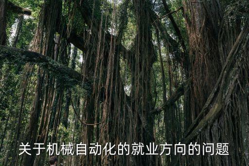 關(guān)于機(jī)械自動(dòng)化的就業(yè)方向的問(wèn)題