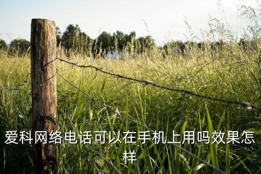 愛科網(wǎng)絡(luò)電話可以在手機上用嗎效果怎樣