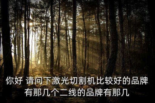 你好 請(qǐng)問下激光切割機(jī)比較好的品牌有那幾個(gè)二線的品牌有那幾