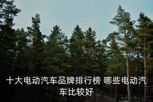 最新能源汽車排名十強(qiáng)榜，十大電動(dòng)汽車品牌排行榜 哪些電動(dòng)汽車比較好