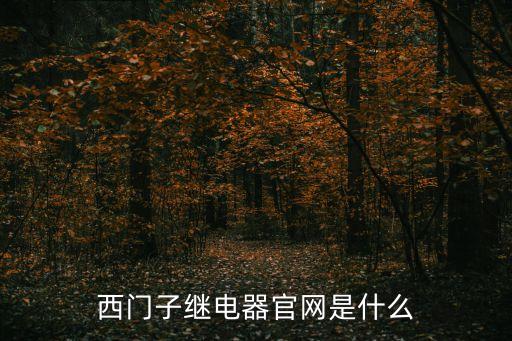 西門(mén)子智能家居控制系統(tǒng)官網(wǎng)，西門(mén)子繼電器官網(wǎng)是什么