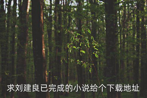 求劉建良已完成的小說(shuō)給個(gè)下載地址