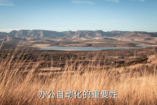 辦公自動化的意義，辦公自動化的重要性